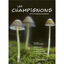 Les champignons de la...