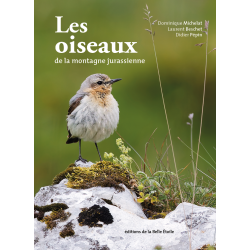 Les oiseaux de la montagne...
