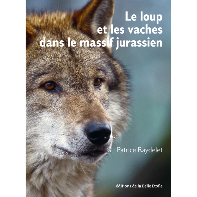 Le loup et les vaches dans le massif jurassien