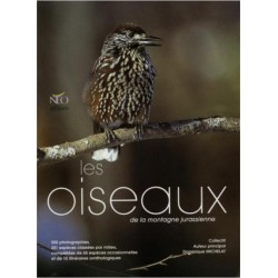 Les oiseaux de la montagne...