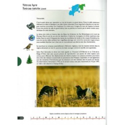 Les oiseaux de la montagne jurassienne