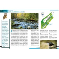 Les oiseaux de la montagne jurassienne