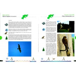 Les oiseaux de la montagne jurassienne