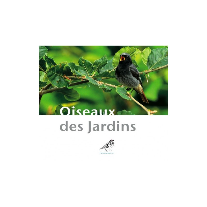 CD Oiseaux des jardins